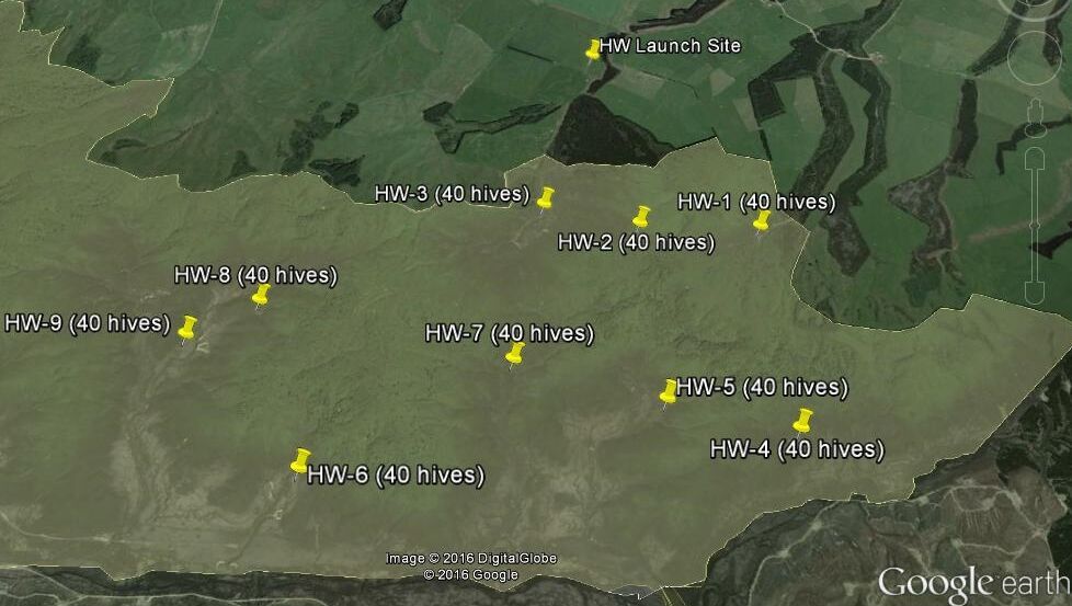 manuka-block-assessments